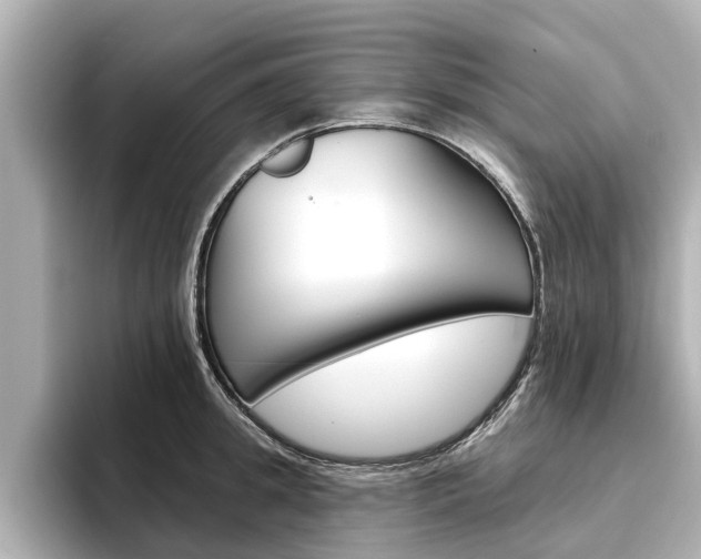 X0000096470949200801241135