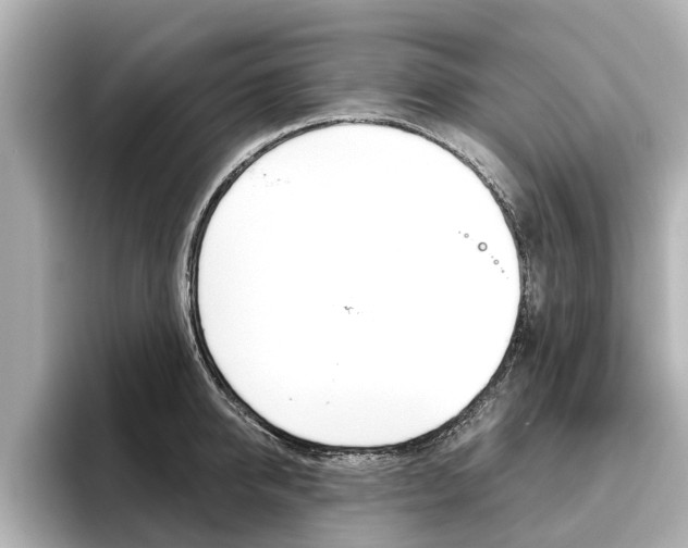 X0000096470950200801241136