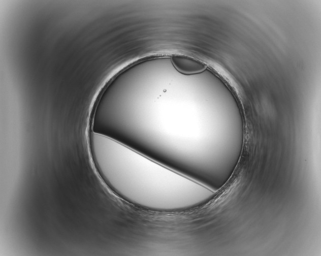 X0000096470951200801241136