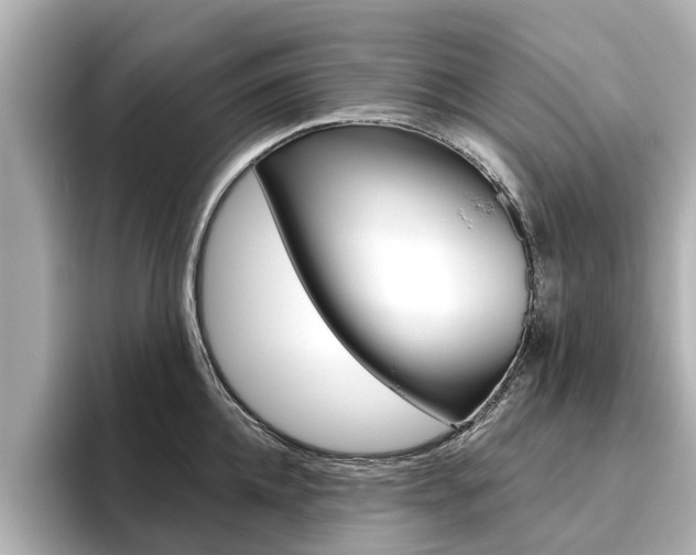 X0000096470952200801241136