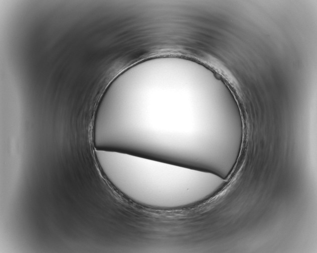X0000096470953200801241136