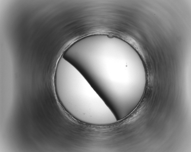 X0000096470954200801241136