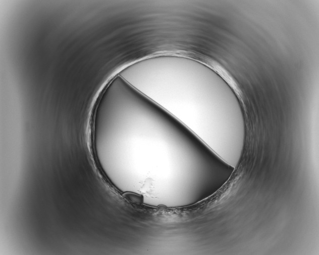 X0000096470955200801241136