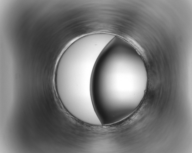 X0000096470956200801241136