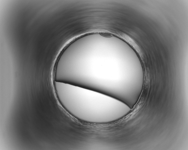 X0000096470958200801241136