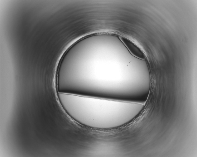 X0000096470959200801241136