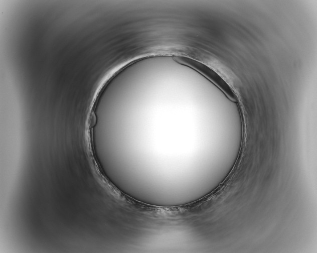X0000096470960200801241136