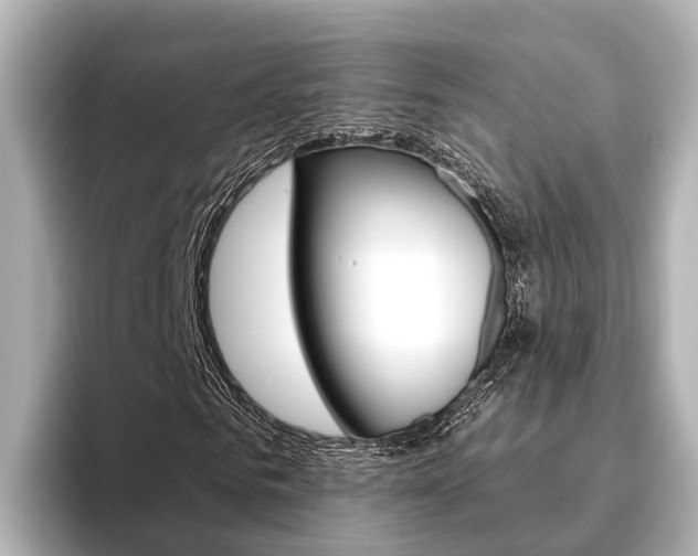 X0000096470961200801241135