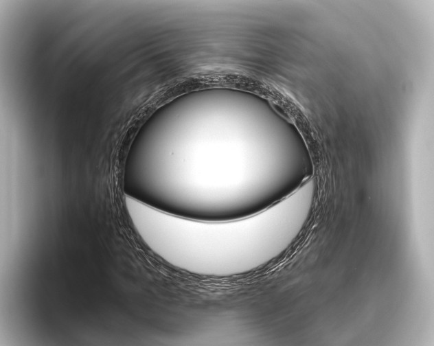X0000096470965200801241135