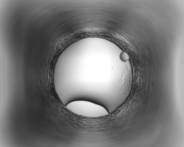 X0000096470966200801241135