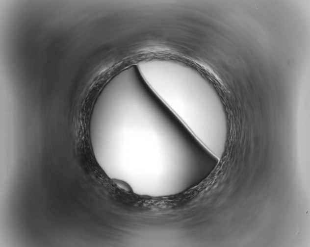 X0000096470967200801241135