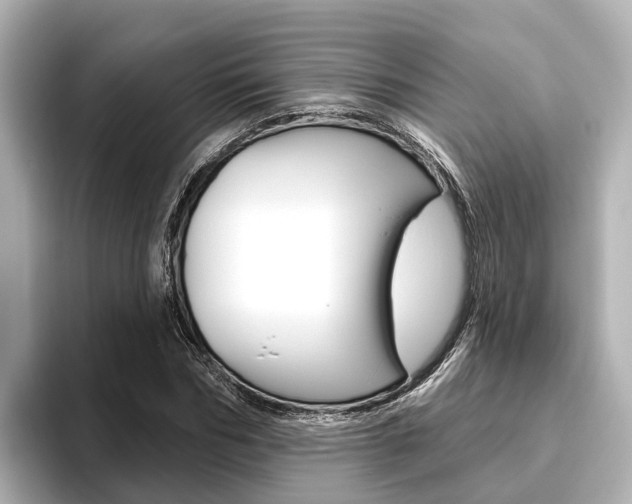 X0000096470970200801241135