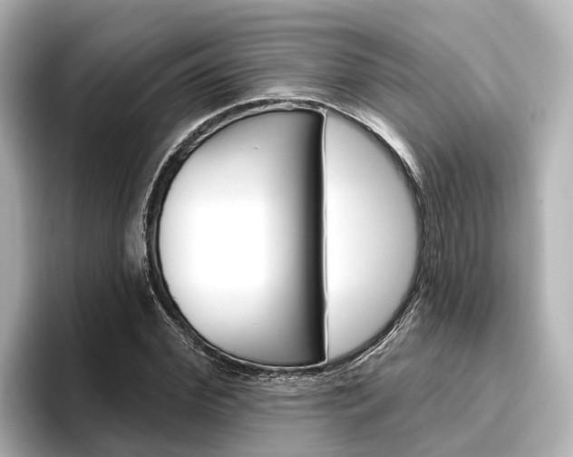X0000096470972200801241135