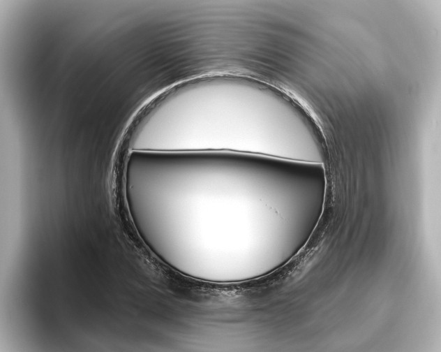 X0000096470975200801241135