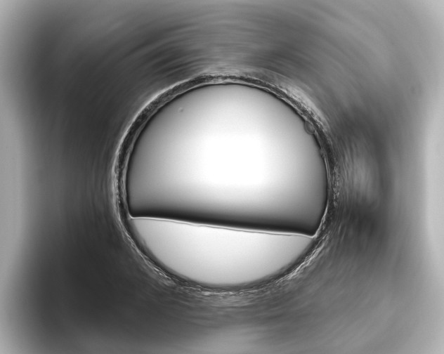 X0000096470976200801241135