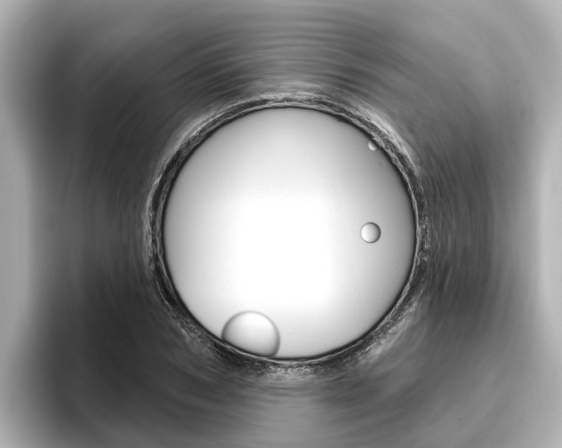 X0000096470978200801241135