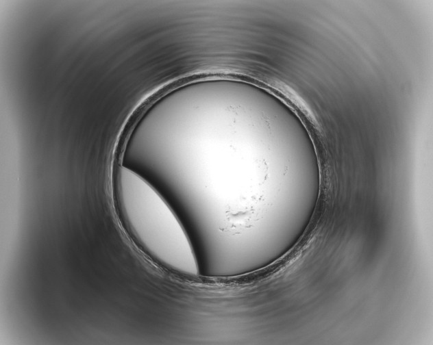 X0000096470980200801241135