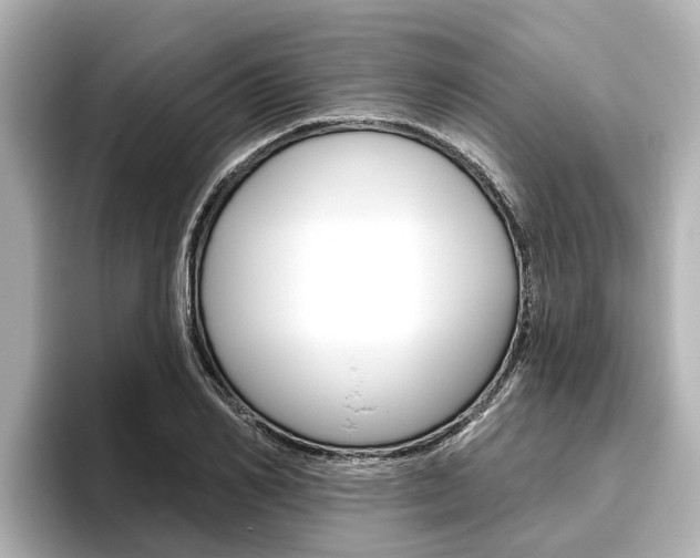 X0000096470982200801241135
