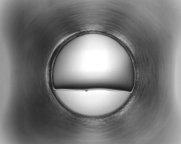 X0000096470983200801241135