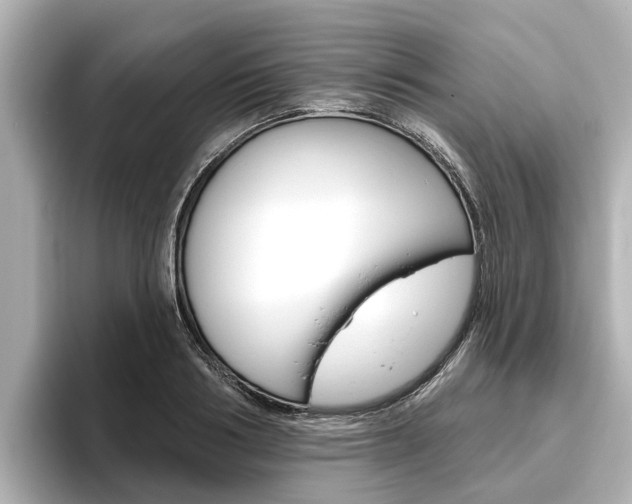 X0000096470986200801241135