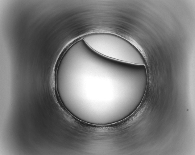 X0000096470988200801241135