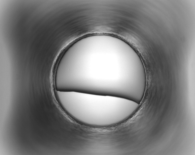 X0000096470990200801241135