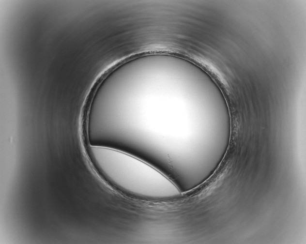 X0000096470991200801241135