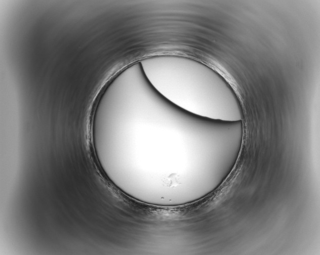 X0000096470994200801241135