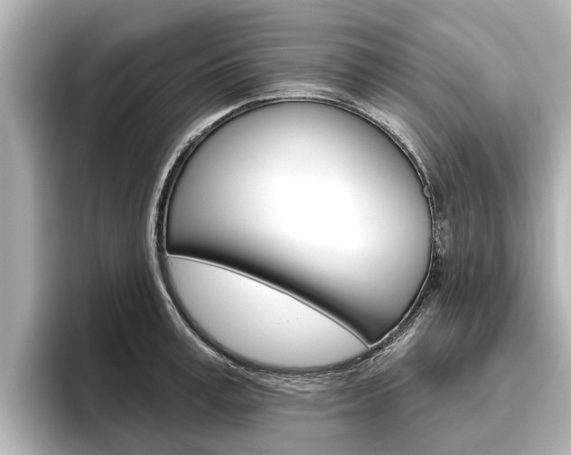 X0000096470995200801241135