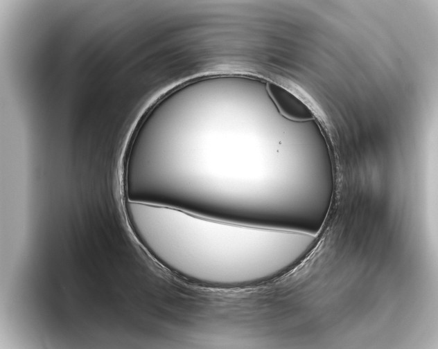 X0000096470996200801241135