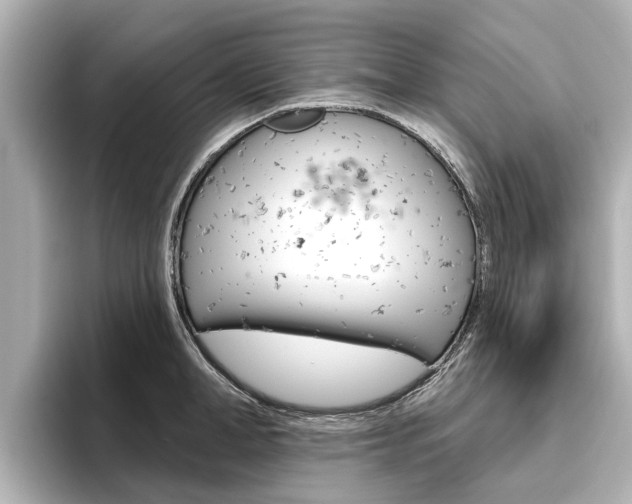 X0000096470998200801241135