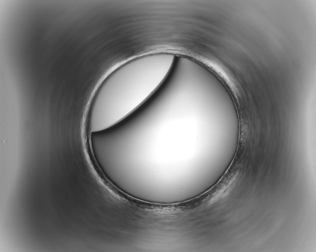 X0000096470999200801241135