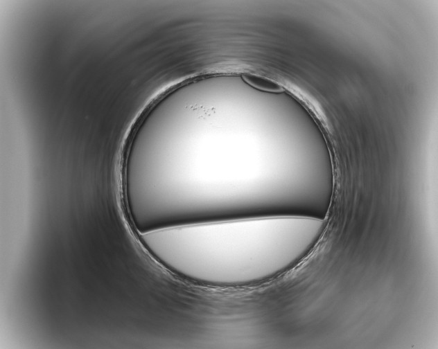 X0000096471000200801241135