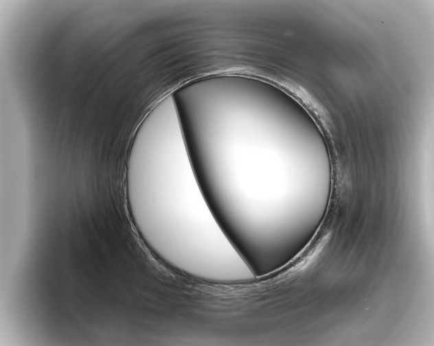 X0000096471001200801241134