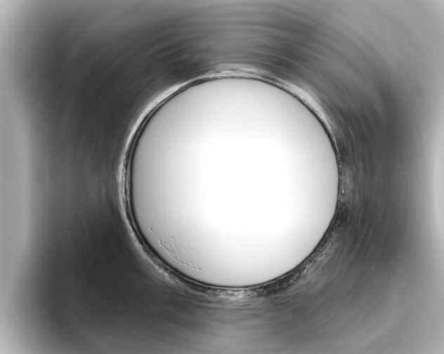 X0000096471003200801241134