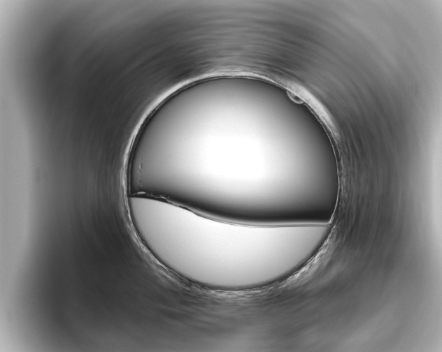 X0000096471004200801241134