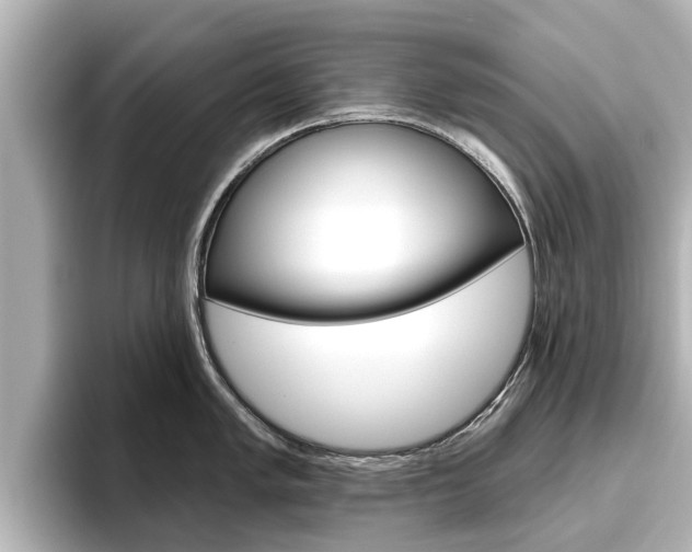 X0000096471005200801241134