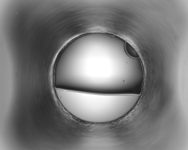 X0000096471008200801241134