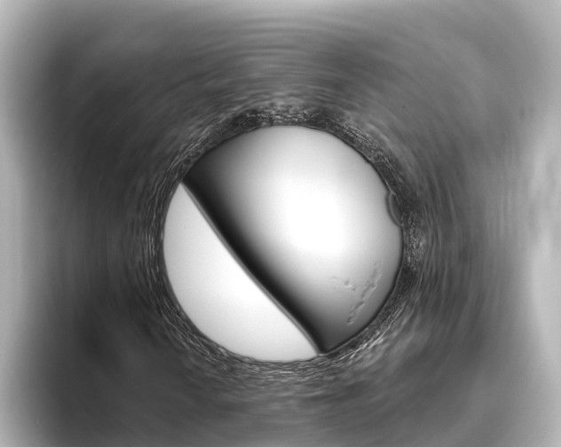 X0000096471010200801241134