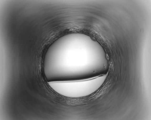 X0000096471012200801241134