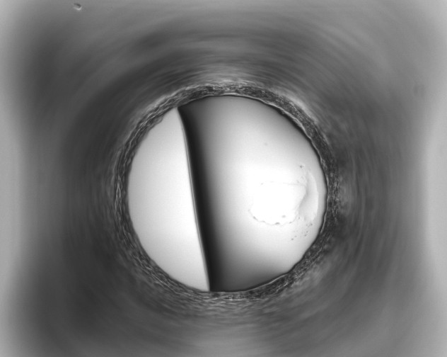 X0000096471016200801241134