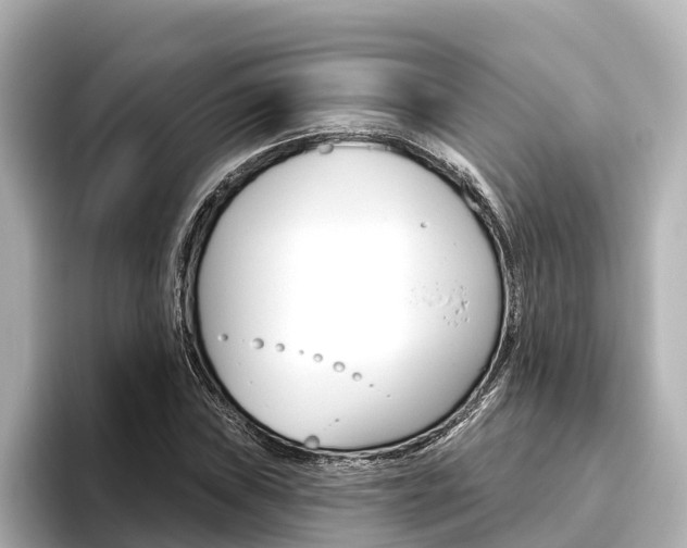 X0000096471019200801241134