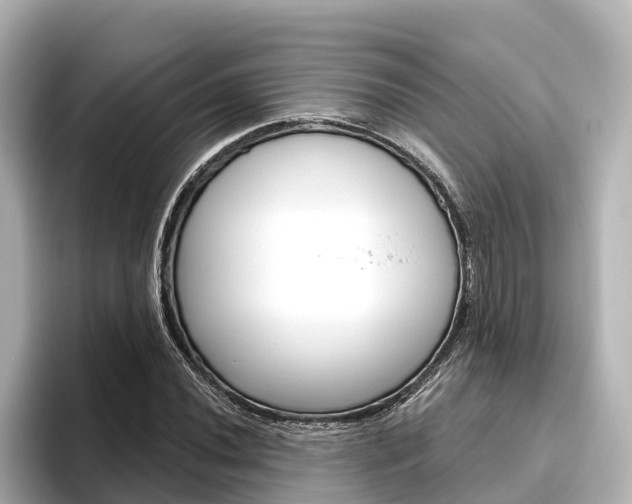 X0000096471020200801241134