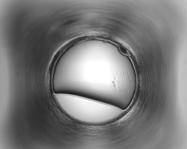 X0000096471021200801241134