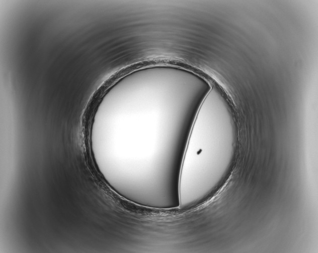 X0000096471022200801241134