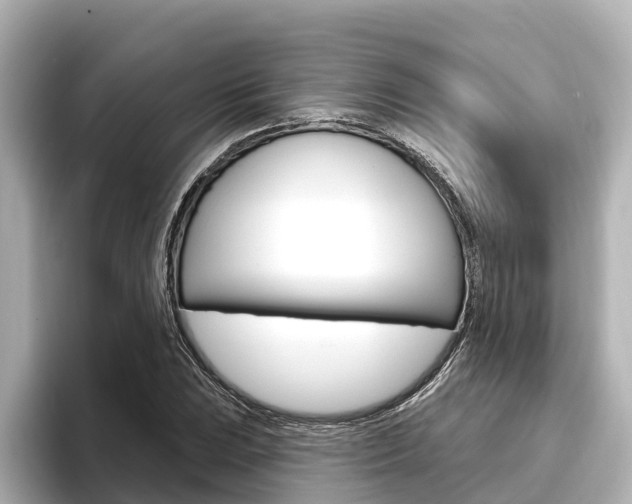 X0000096471023200801241134