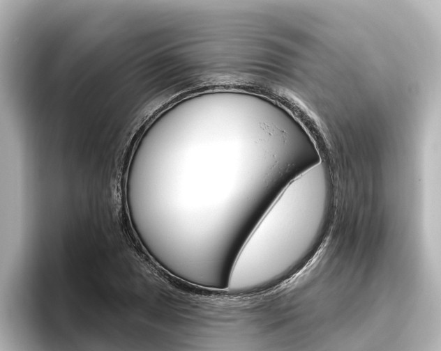 X0000096471025200801241134