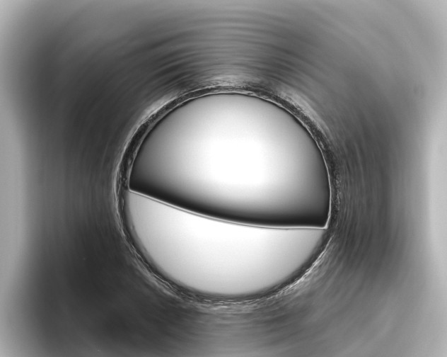 X0000096471026200801241134