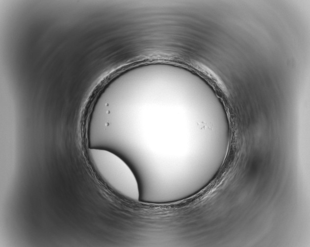 X0000096471027200801241134