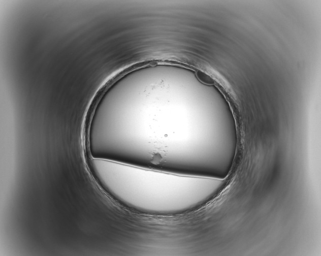 X0000096471028200801241134